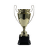 Trofeo de Copa de Metal sin Tapa Serie M1ST